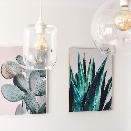 Los Cactus 1 라스팔마스 외부 사진